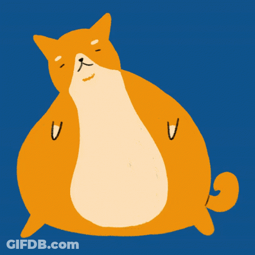 A Cartoon Drawing Of A Cat With A Large Belly GIF