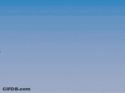 A Cartoon Drawing Of A Cat With Flowers On His Head GIF