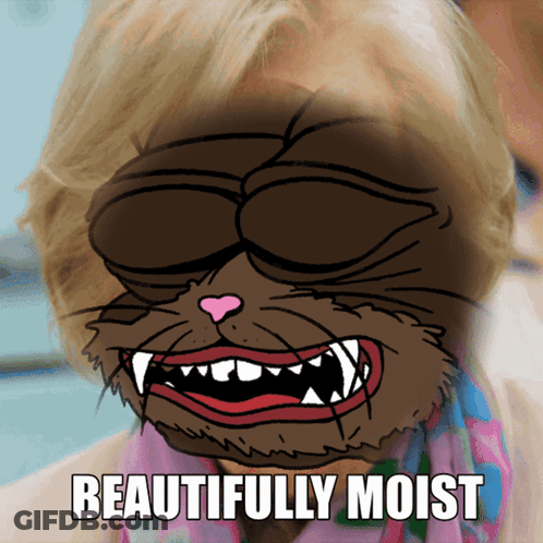 A Cartoon Drawing Of A Cat With The Words Beautifully Moist Underneath It GIF