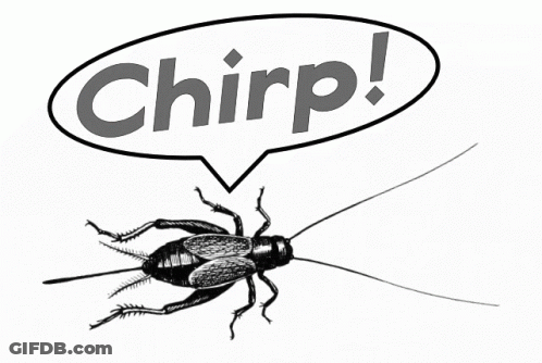A Cartoon Drawing Of A Cockroach With A Speech Bubble That Says Chirp GIF