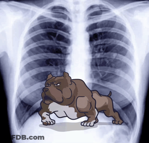 A Cartoon Drawing Of A Dog Standing In Front Of An X-Ray Of A Chest GIF
