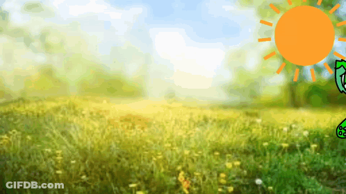 A Cartoon Drawing Of A Frog In A Field With A Sun Behind It GIF