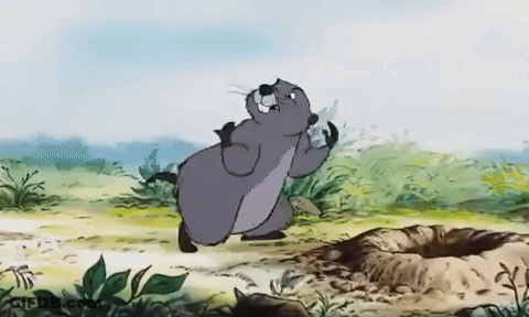 A Cartoon Drawing Of A Groundhog Standing In A Field GIF