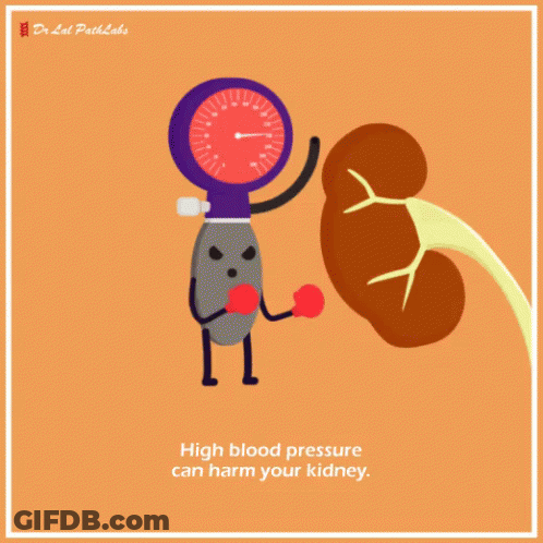 A Cartoon Drawing Of A Kidney And A Blood Pressure Gauge Says High Blood Pressure Can Harm Your Kidney GIF