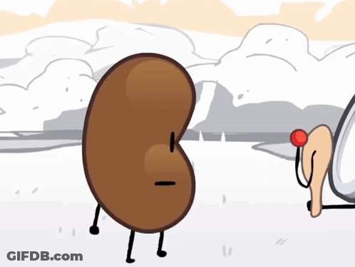 A Cartoon Drawing Of A Kidney And A Spoon With A Clock In The Background GIF