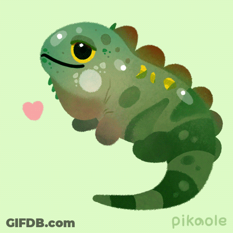 A Cartoon Drawing Of A Lizard With The Name Pikoole Below It GIF