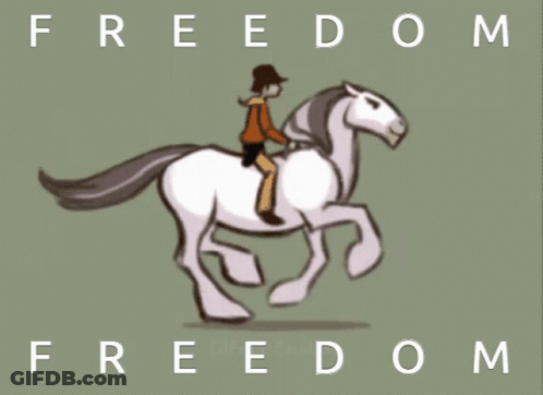 A Cartoon Drawing Of A Man Riding A Horse With The Words Freedom Above Him GIF