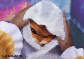 A Cartoon Drawing Of A Person Covering Their Face With A White Cloth GIF