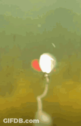 A Cartoon Drawing Of A Person Holding A Red Flower GIF