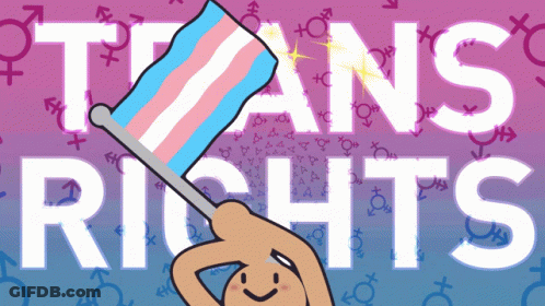 A Cartoon Drawing Of A Person Holding A Transgender Flag With The Words Trans Rights In The Background GIF