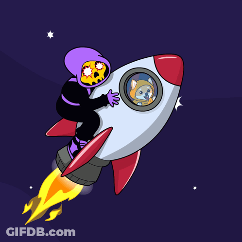 A Cartoon Drawing Of A Person Riding A Rocket With A Dog Looking Out The Window GIF