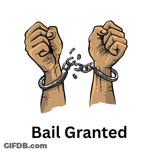 A Cartoon Drawing Of A Person 'S Hands In Handcuffs And The Words Bail Granted Below Them GIF