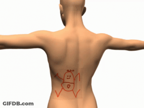 A Cartoon Drawing Of A Person With A Smiley Face Drawn On Their Back GIF