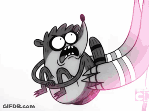 A Cartoon Drawing Of A Raccoon With The Letter C On The Bottom Right GIF