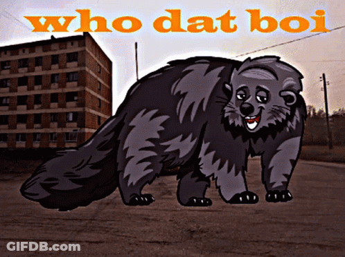 A Cartoon Drawing Of A Raccoon With The Words Who Dat Boi Below It GIF