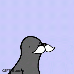 A Cartoon Drawing Of A Seal With A Mustache And The Words Diabeetus GIF