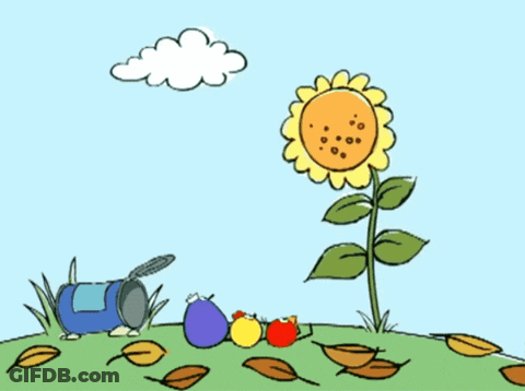 A Cartoon Drawing Of A Sunflower And Some Fruits GIF