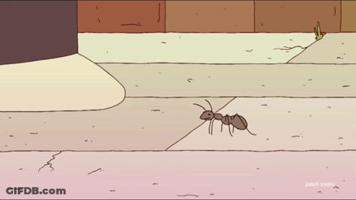 A Cartoon Drawing Of An Ant On A Sidewalk With The Words Adult Swim Below GIF