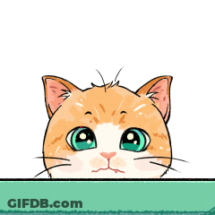 A Cartoon Drawing Of An Orange And White Cat GIF