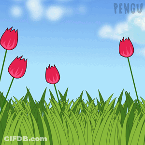 A Cartoon Drawing Of Flowers In A Field With The Word Pengu On The Bottom Right GIF