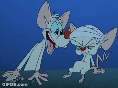 A Cartoon Drawing Of Pinky And The Brain GIF