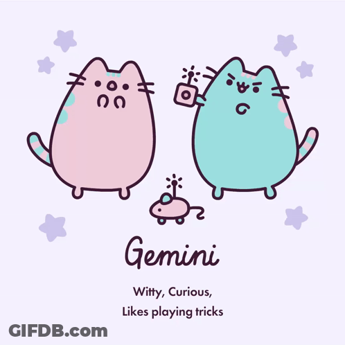 A Cartoon Drawing Of Two Cats With The Name Gemini On It GIF