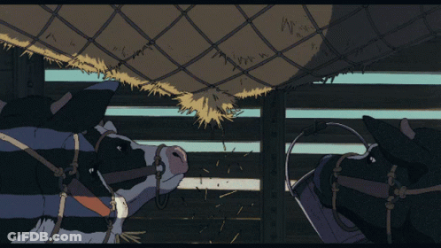 A Cartoon Drawing Of Two Cows In A Pen GIF
