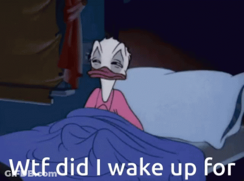 A Cartoon Duck Is Laying In Bed With The Words WTF Did I Wake Up For GIF
