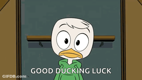A Cartoon Duck Wearing A Green Hoodie Says Good Ducking Luck GIF