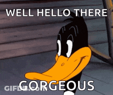 A Cartoon Duck With The Words Well Hello There Gorgeous GIF