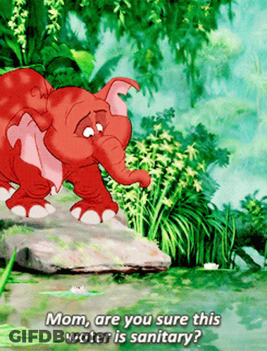 A Cartoon Elephant Is Standing On A Rock Near A Body Of Water And Says " Mom Are You Sure This Water Is Sanitary " GIF