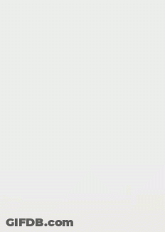 A Cartoon Fox Is Standing In Front Of A White Wall And Looking At The Camera . GIF