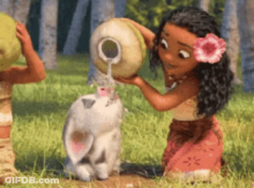 A Cartoon Girl Is Pouring Water From A Coconut Into A Rabbit . GIF