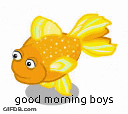A Cartoon Goldfish Says Good Morning Boys GIF