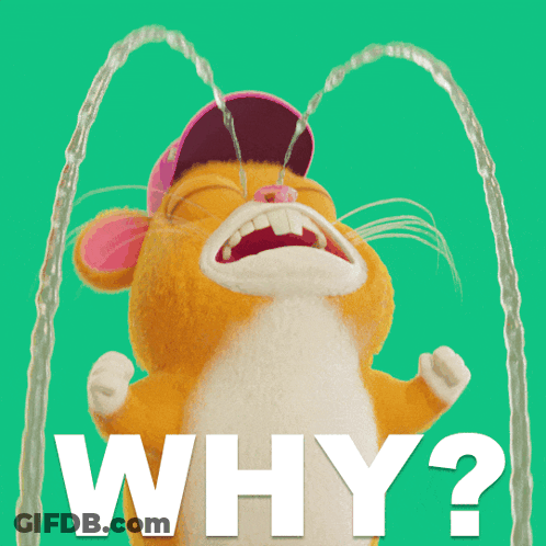 A Cartoon Hamster Is Crying With Water Coming Out Of Its Eyes And The Question Why Is Written Below It GIF