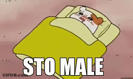 A Cartoon Hamster Is Laying In A Bed With The Words Sto Male Written On The Bottom GIF