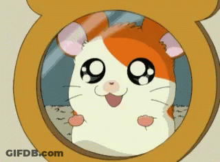 A Cartoon Hamster Looks At Itself In A Mirror GIF