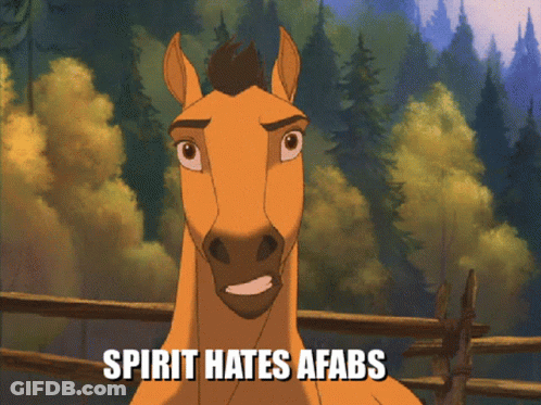 A Cartoon Horse With The Words Spirit Hates Afabs On The Bottom GIF