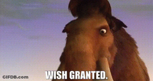 A Cartoon Horse With The Words `` Wish Granted '' Written On It . GIF
