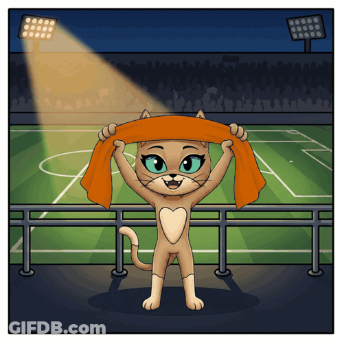 A Cartoon Illustration Of A Cat Holding An Orange Scarf In A Stadium GIF