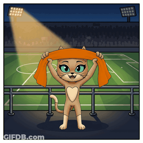 A Cartoon Illustration Of A Cat Holding An Orange Scarf In Front Of A Soccer Field GIF