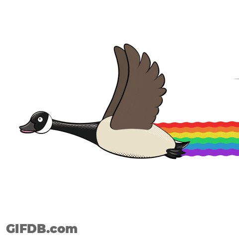 A Cartoon Illustration Of A Goose Flying With A Rainbow Trail Behind It GIF