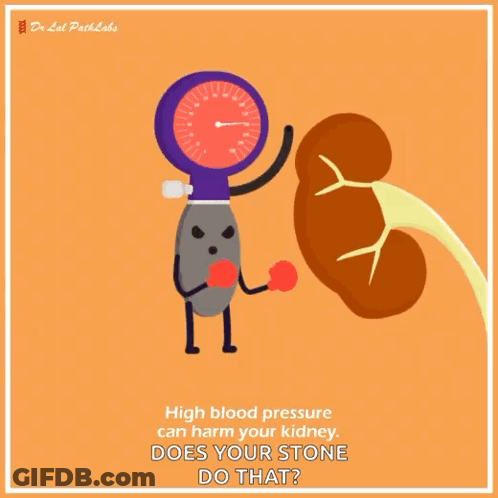 A Cartoon Illustration Of A Kidney And A Blood Pressure Gauge GIF