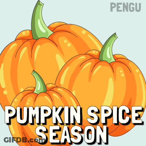 A Cartoon Illustration Of Pumpkins With The Words " Pumpkin Spice Season " Below Them GIF