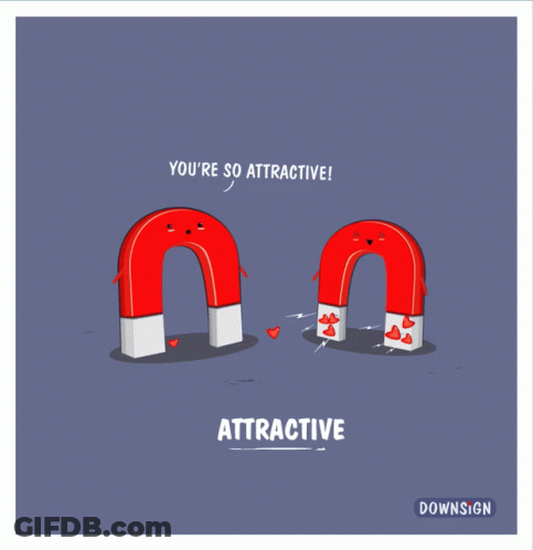Magnets Saying You're So Attractive GIF