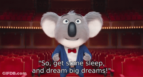 A Cartoon Koala With The Words " So Get Some Sleep And Dream Big Dreams " GIF