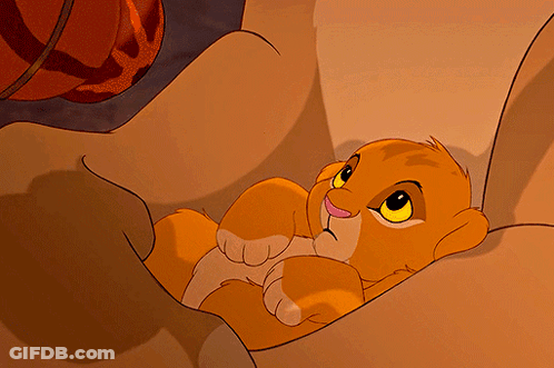 A Cartoon Lion Cub Is Laying In A Box GIF