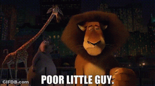 A Cartoon Lion With The Words `` Poor Little Guy '' Written On It GIF