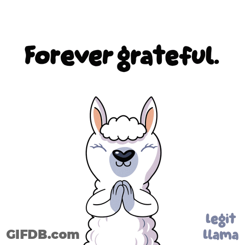 A Cartoon Llama Says " Forever Grateful " With Its Hands Folded In Prayer GIF