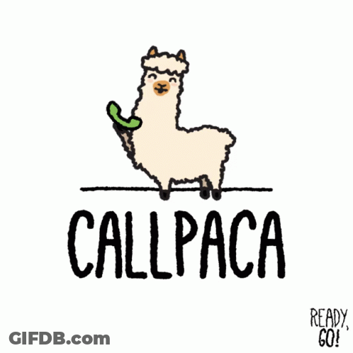 A Cartoon Llama Talking On A Phone With The Words Callpaca Below GIF